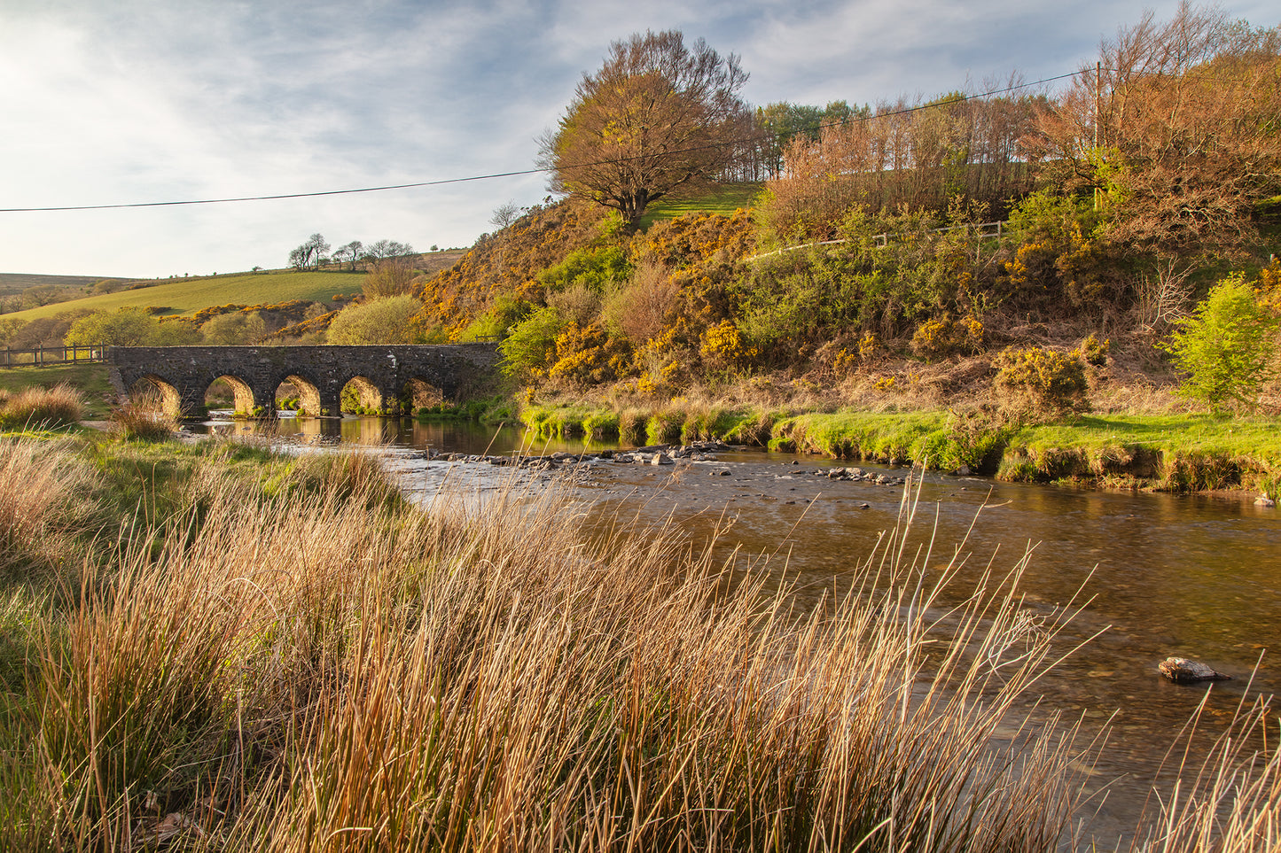 Landacre Bridge Spring