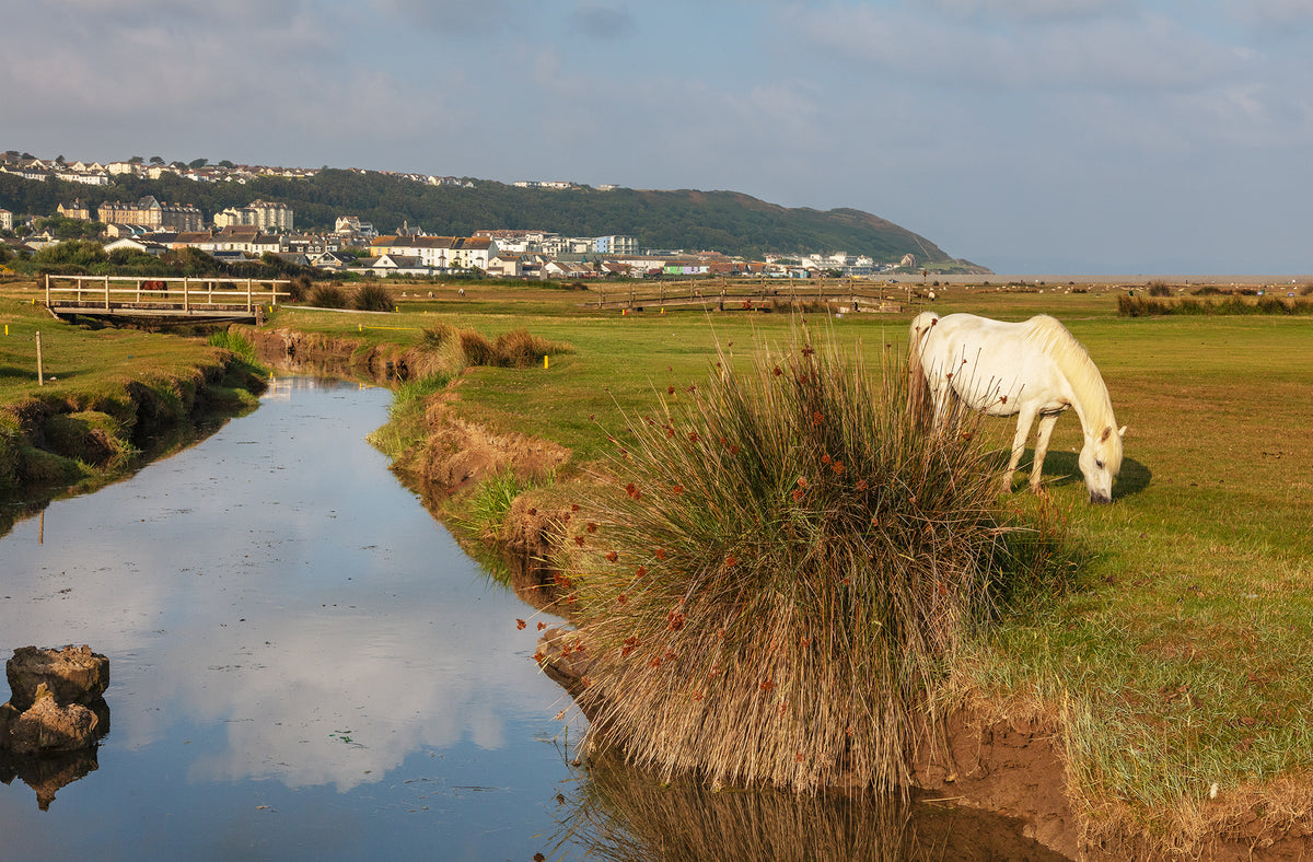 Westward Ho Golf Course
