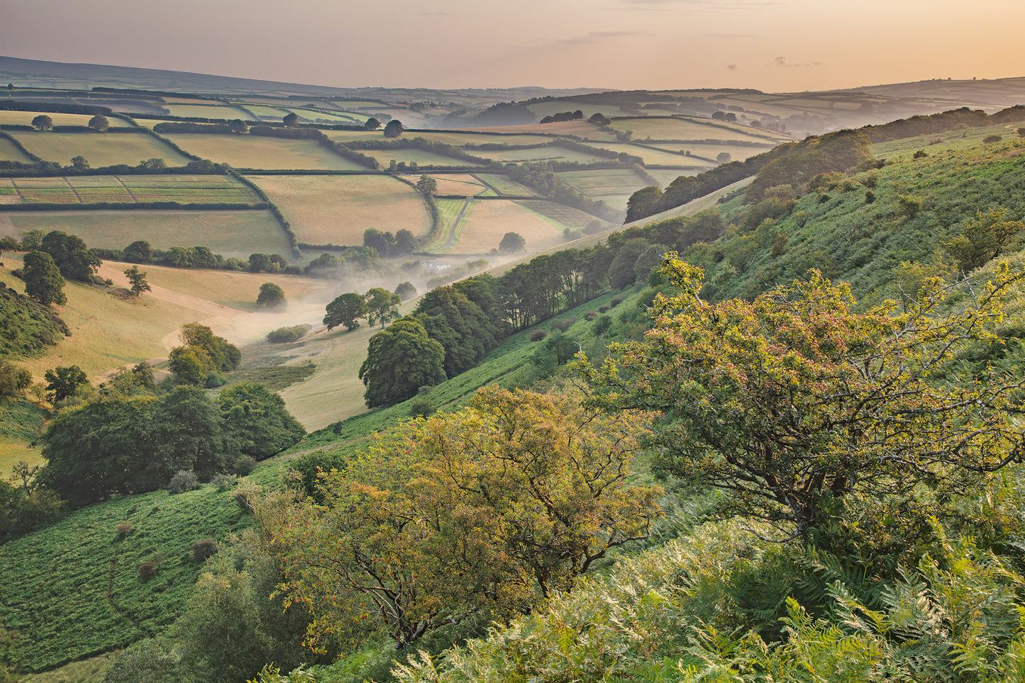 Winsford Hill Summer