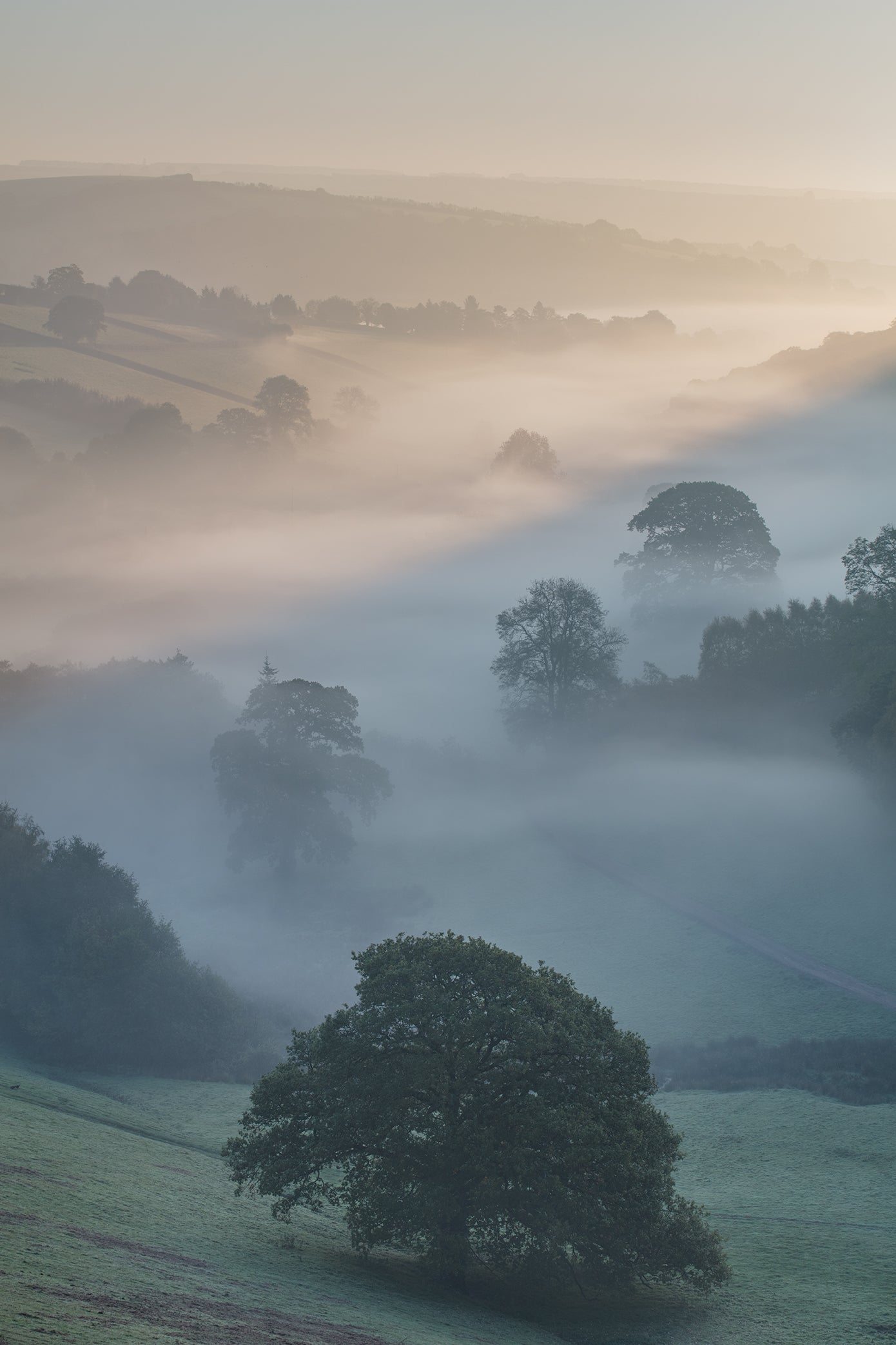 Winsford hill Punchbowl Mists