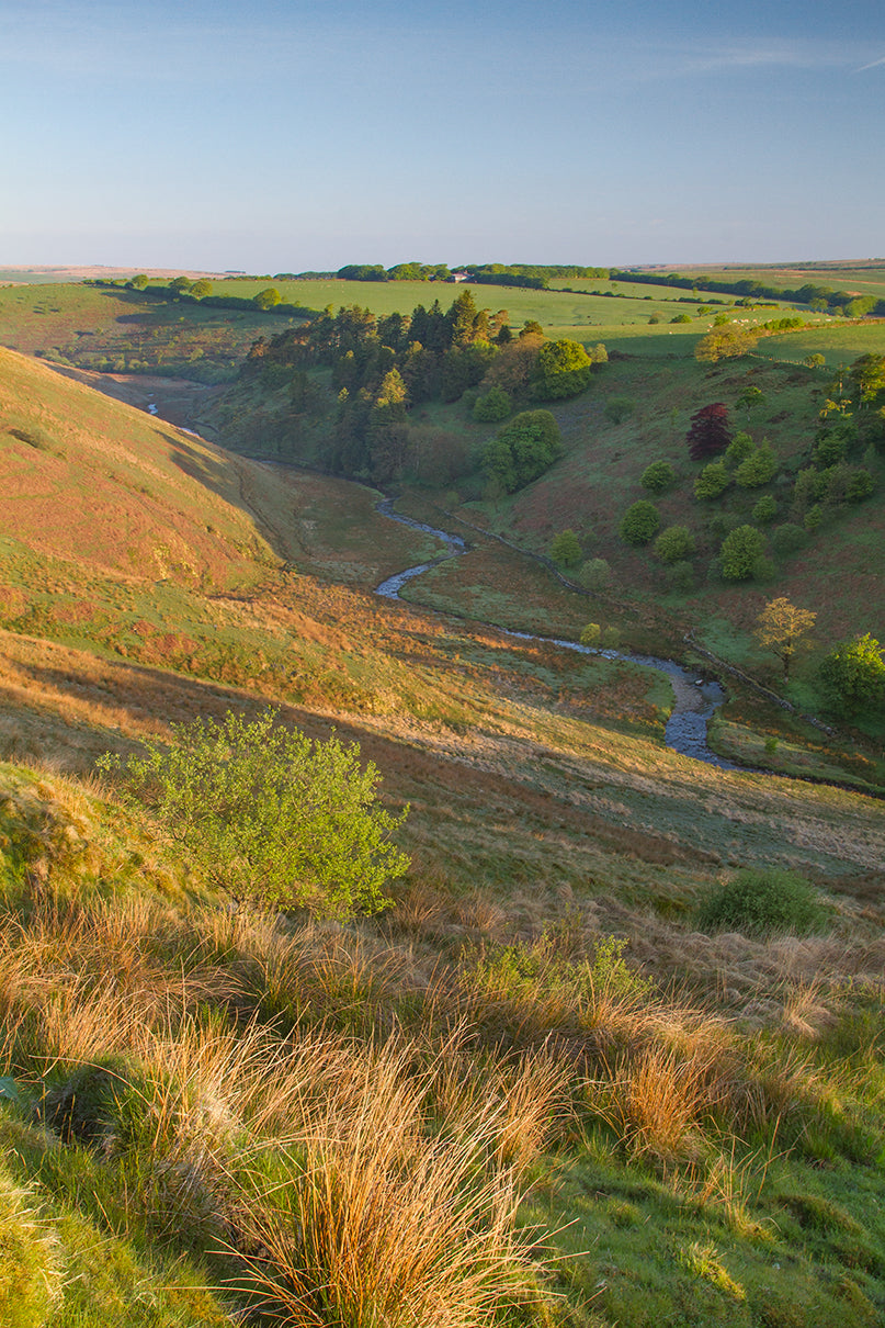 Simonsbath Valley