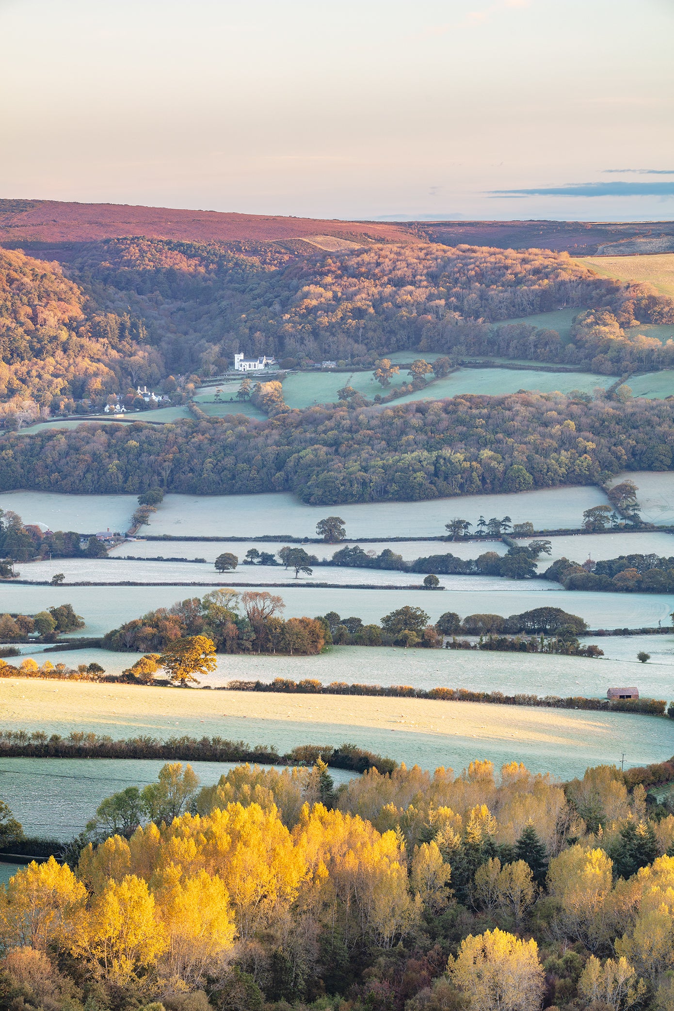 Towards Selworthy Frost