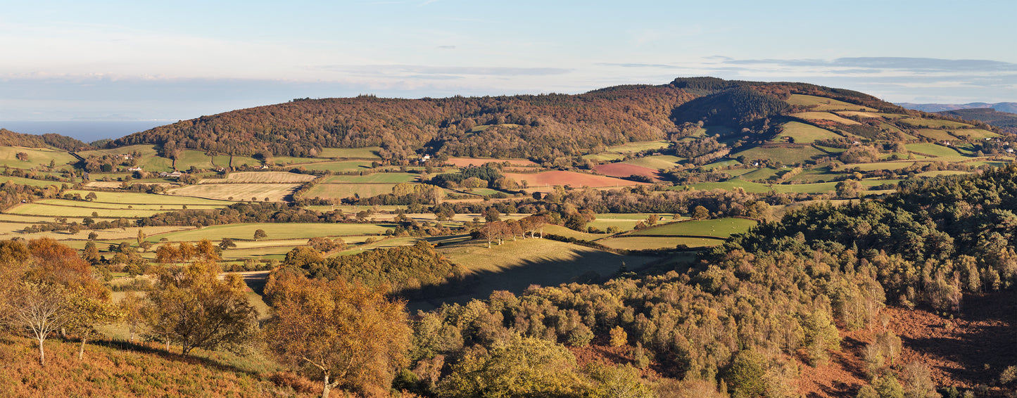 Crawter Hill Towards Luccombe Panorama
