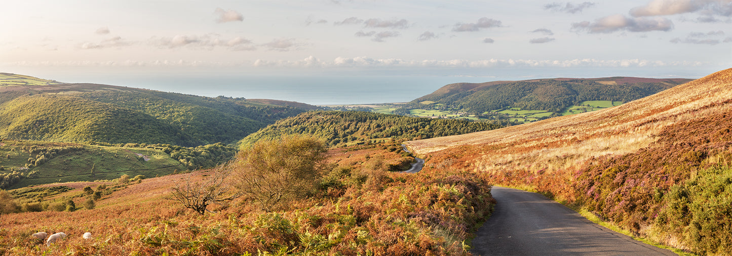 Towards Porlock Panorama