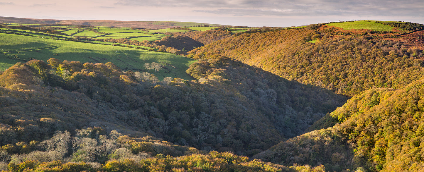 Watersmeet From Above Panorama