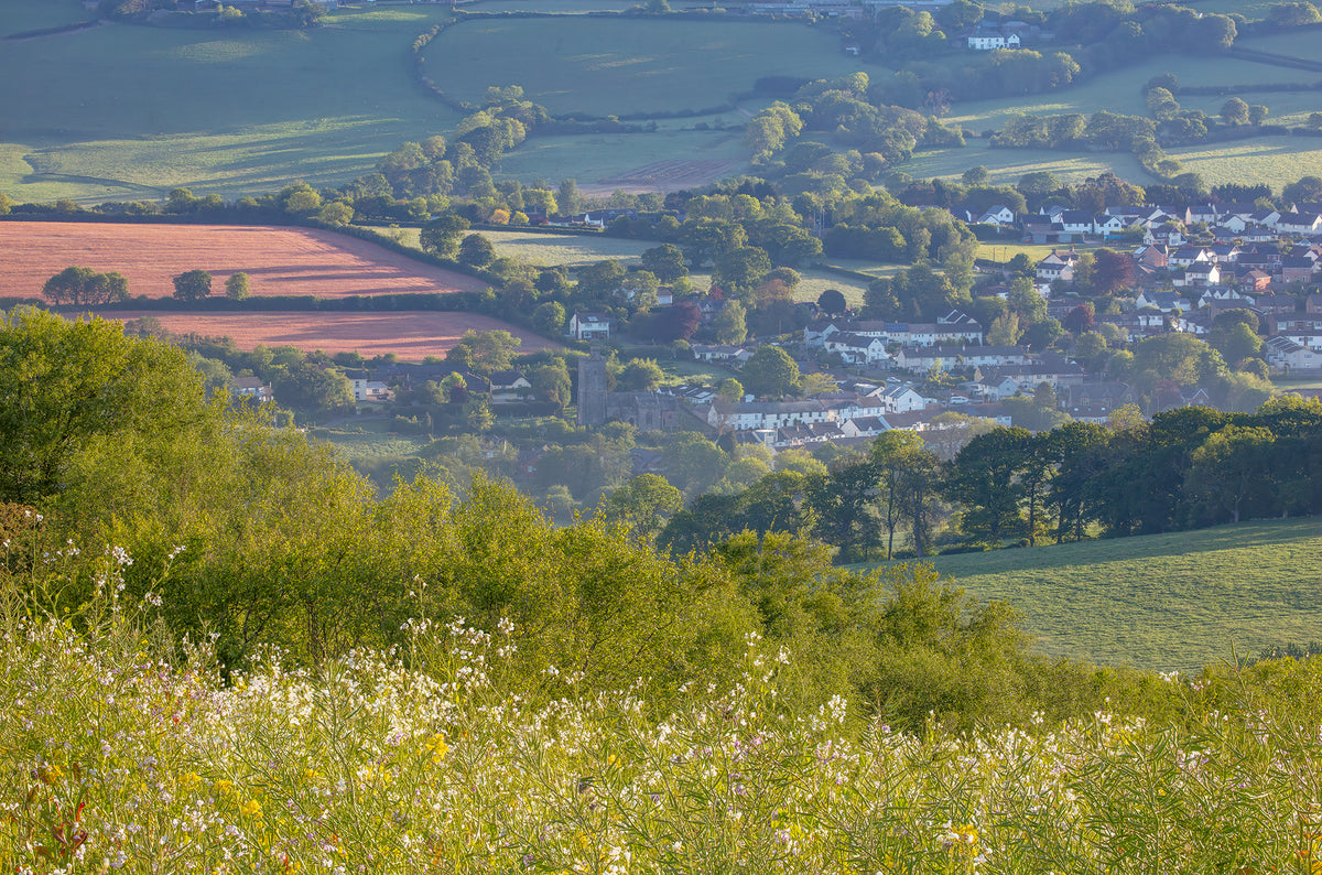 Codden Hill Towards Landkey
