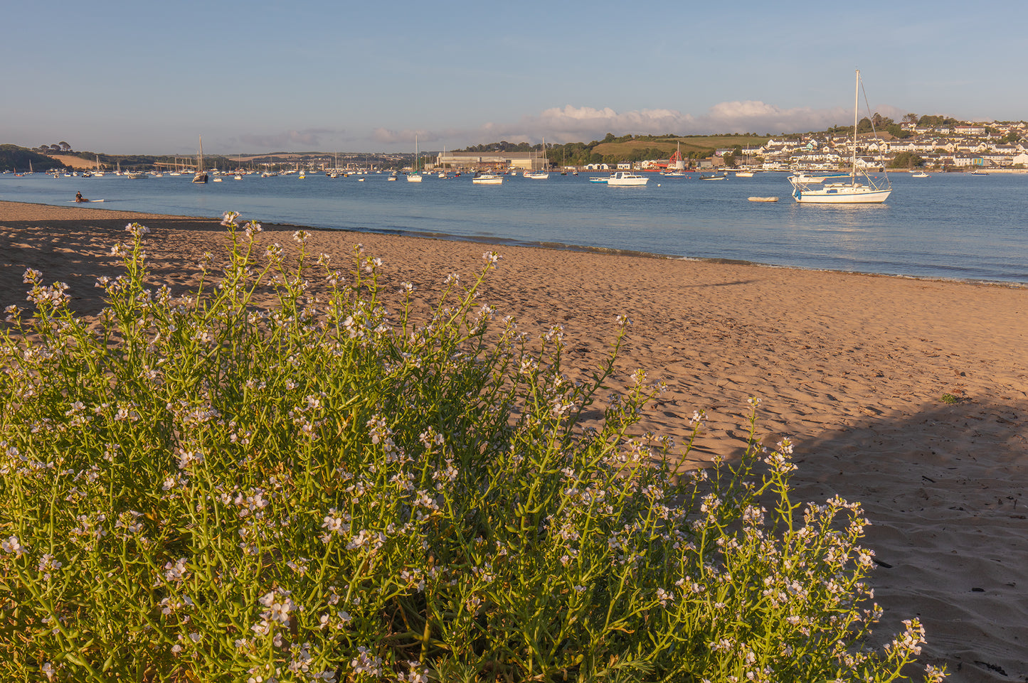 Instow Beach Summer Morning