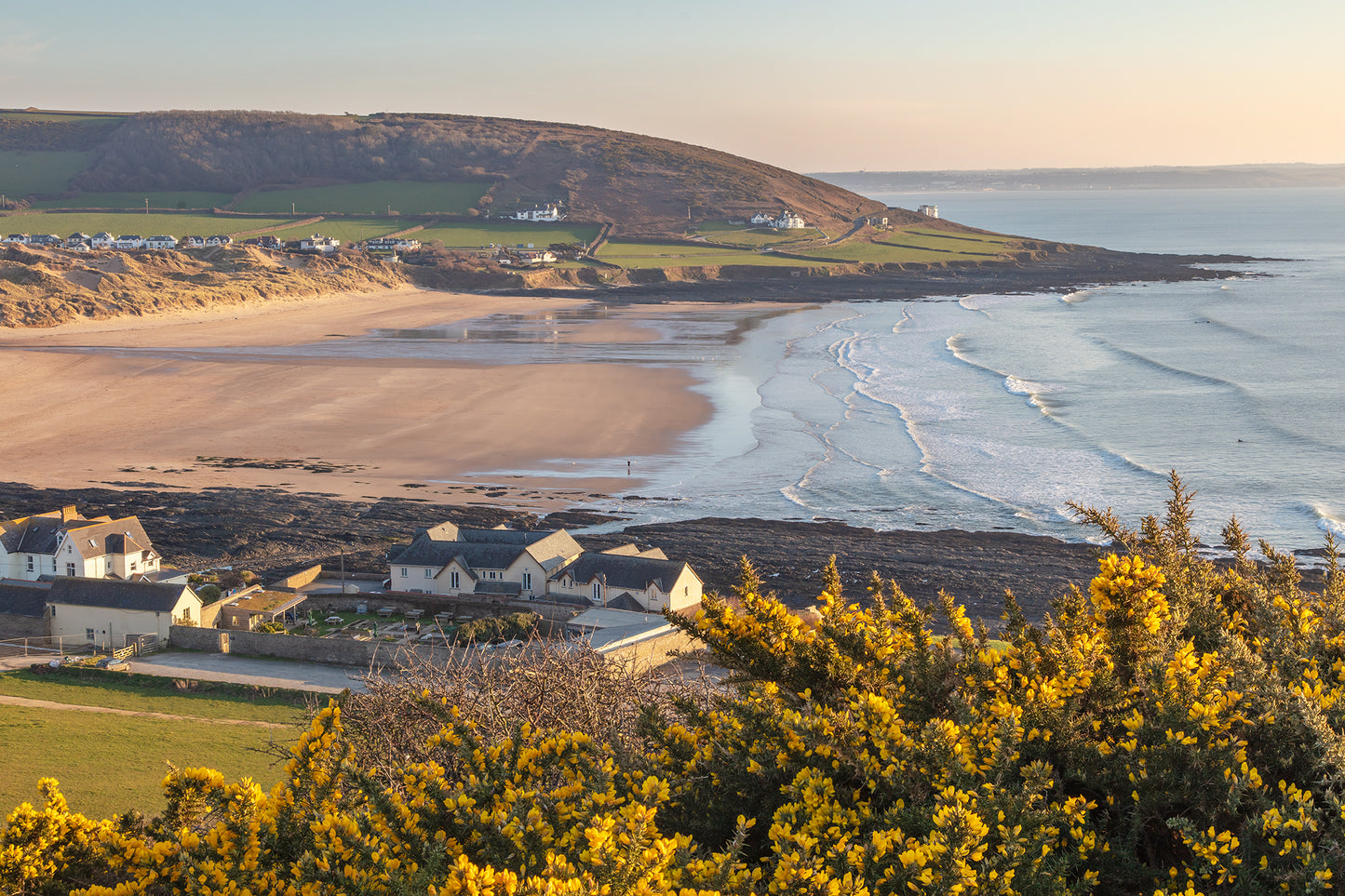 Croyde Hillsborough Gorse