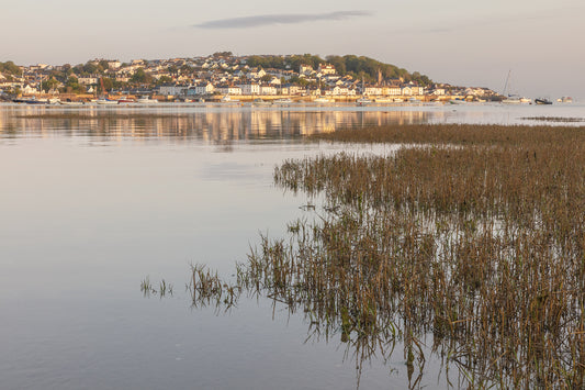 Instow Hightide Sea Grass