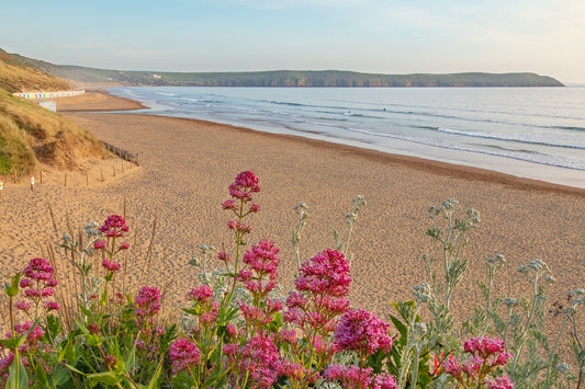 Woolacombe beach Summer Flowers