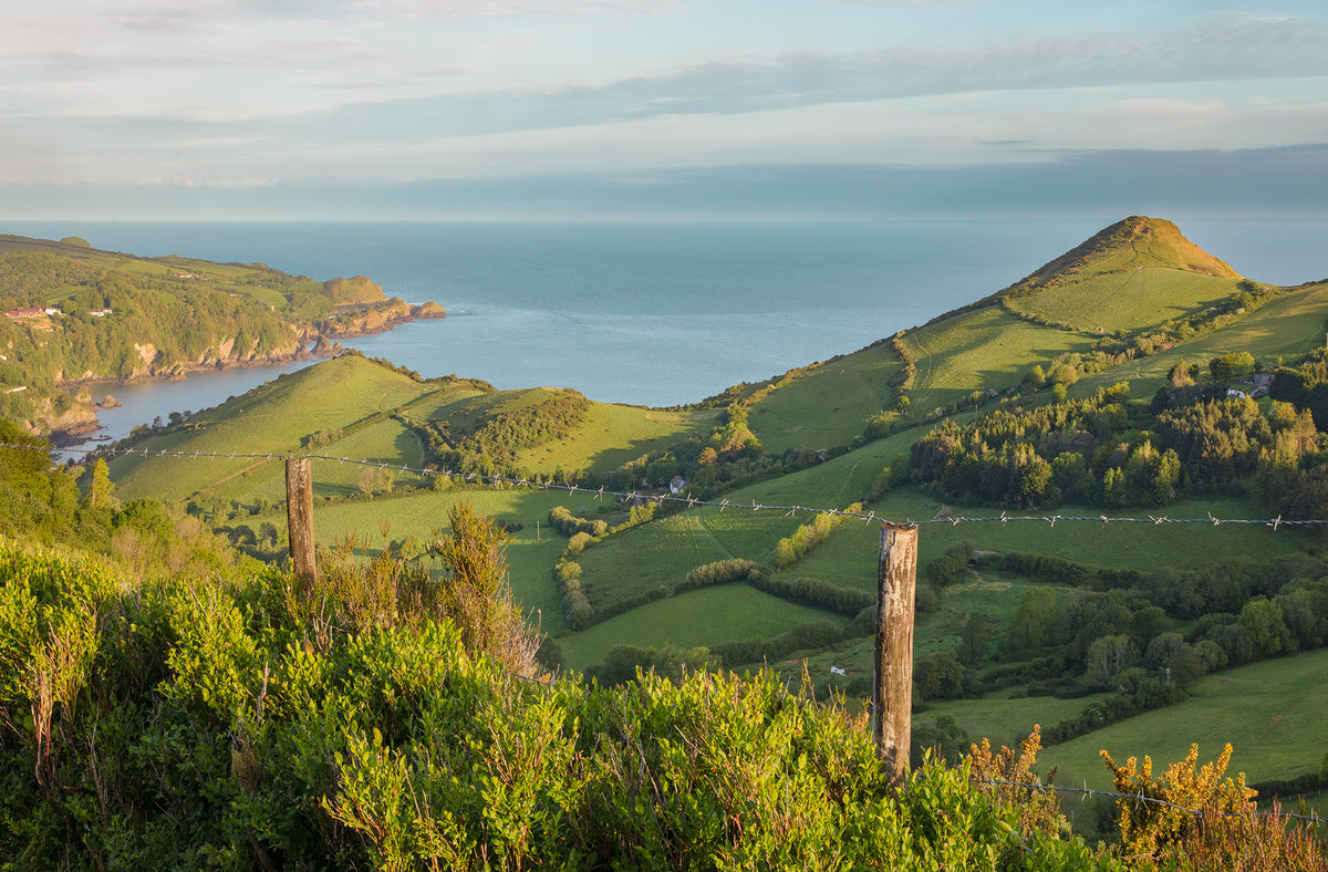 Above Combe Martin