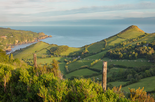 Above Combe Martin