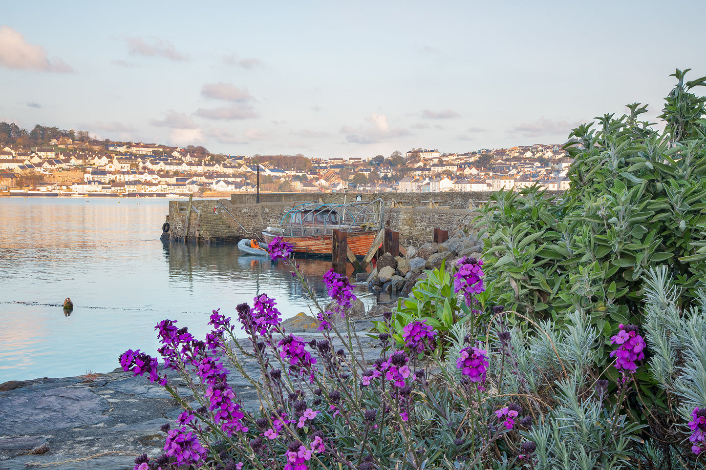 Instow Ferry Spring Flowers