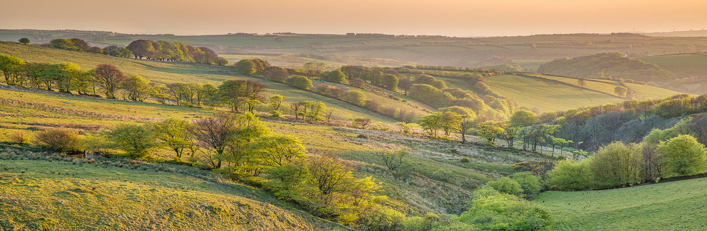 Challacombe Panorama