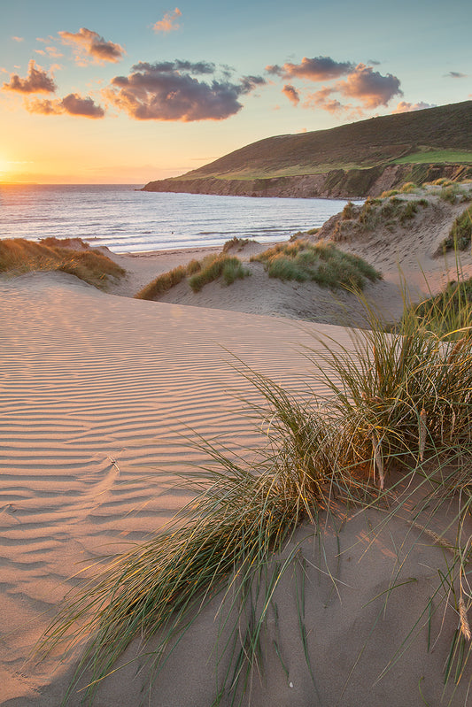 Saunton Beach Dunes