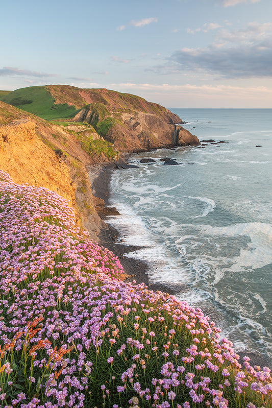 Spekes Mill Mouth flowers