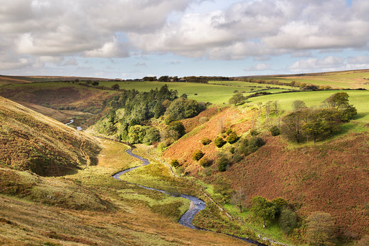 Simonsbath Valley