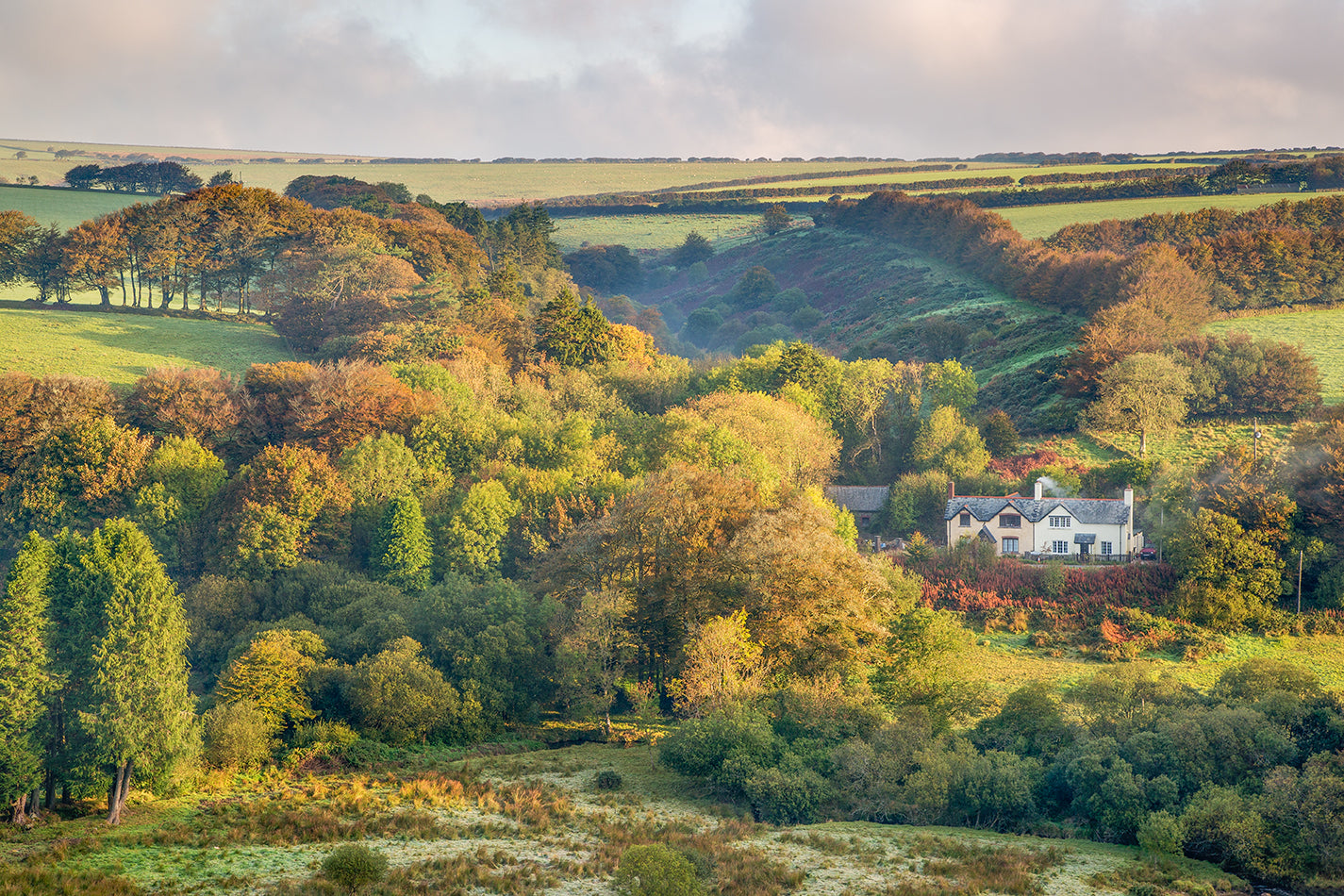 Autumnal Simonsbath