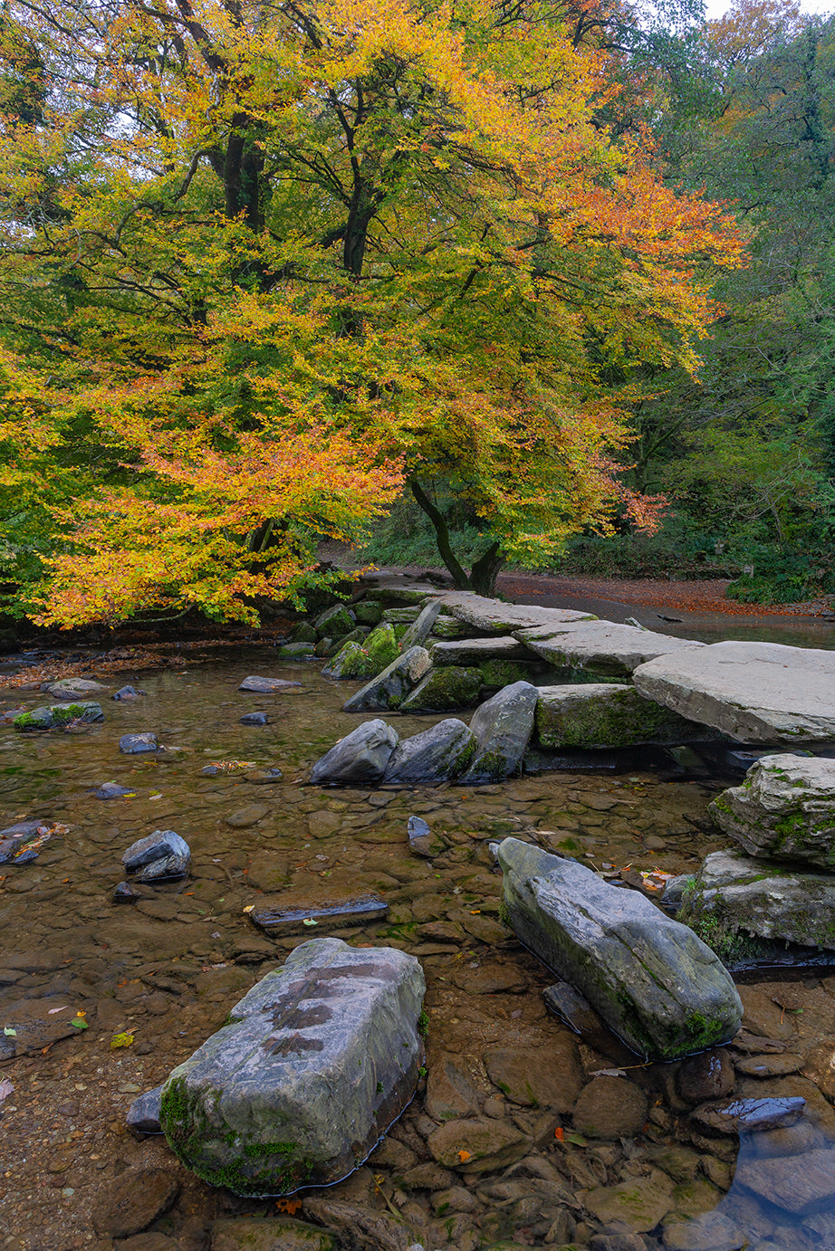 Tarr Steps