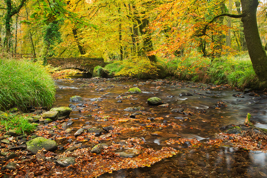 Castle Bridge Autumn