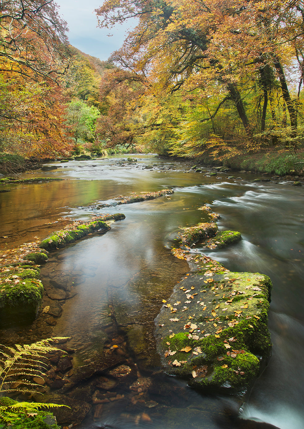 Autumn on The River Barle