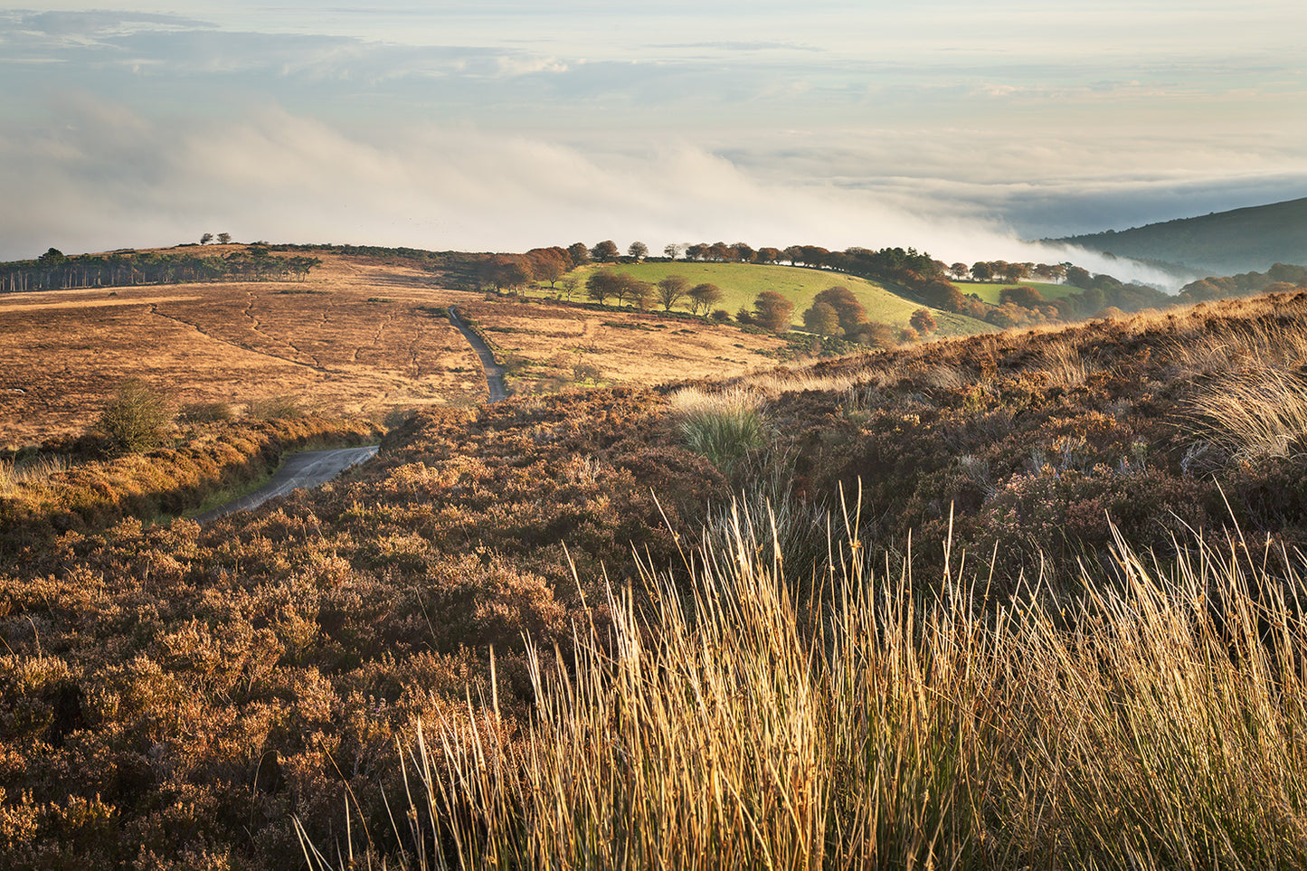 Sea Mists nr Dunkery Beacon