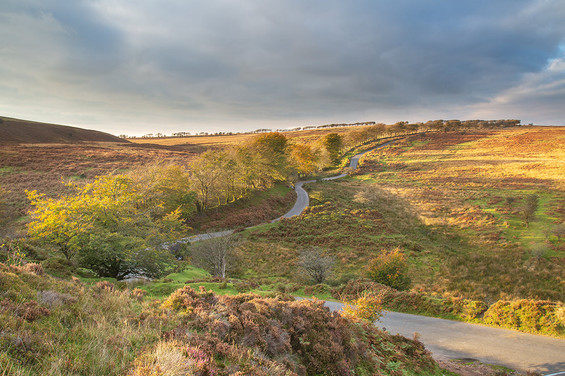 Alderman's Barrow Autumn Light