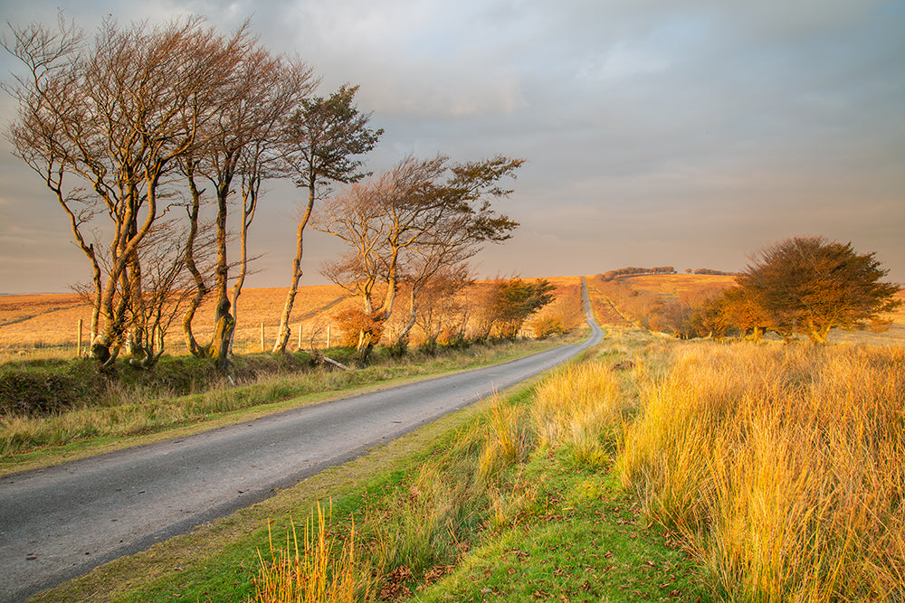 Towards Porlock Common