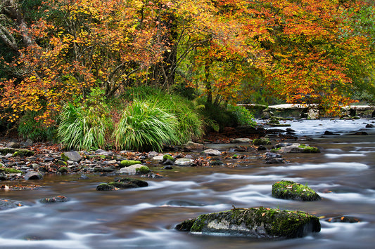 Tarr Steps Autumn