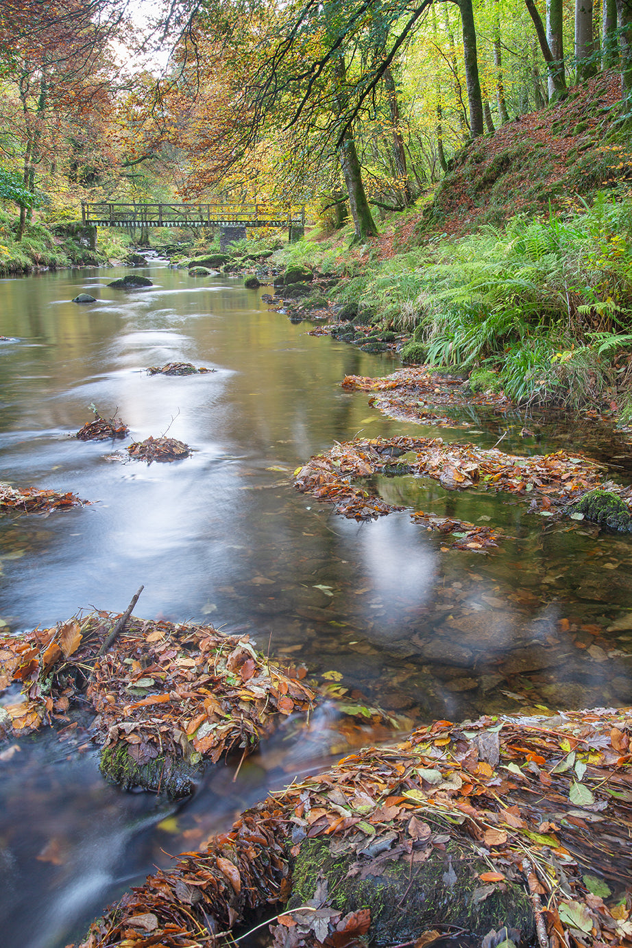 East Lyn at Autumn