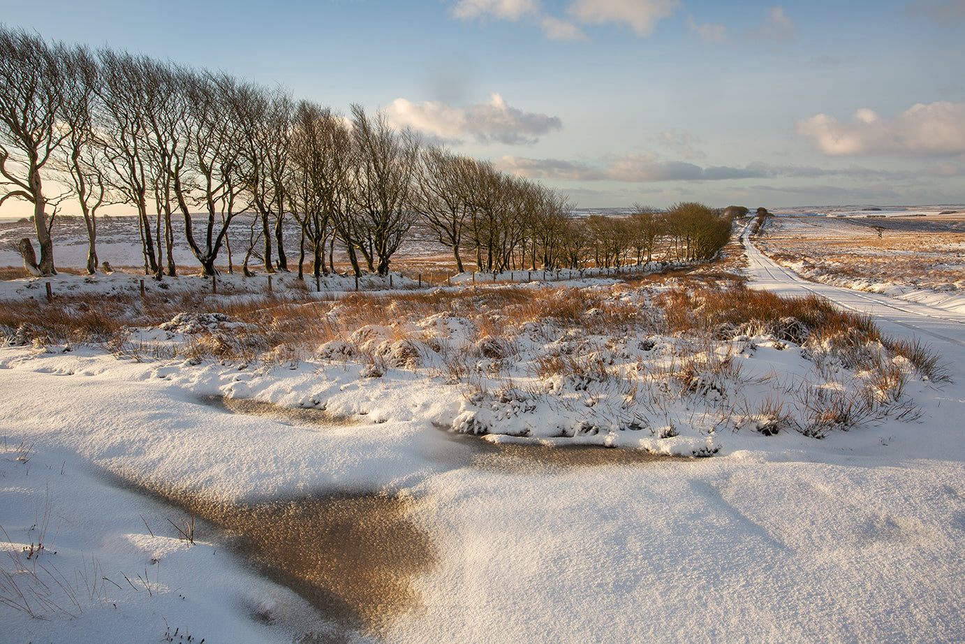 Porlock Common Snow