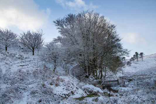 Alderman's Barrow Snow