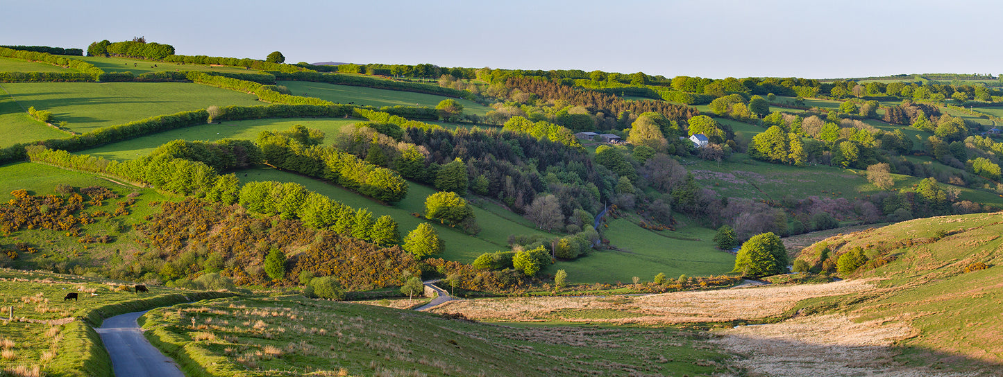 Landacre Bridge Summer