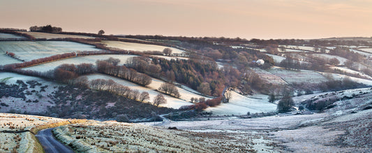 Landarce Frost Panorama