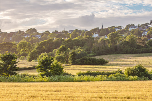 Ashford Summer