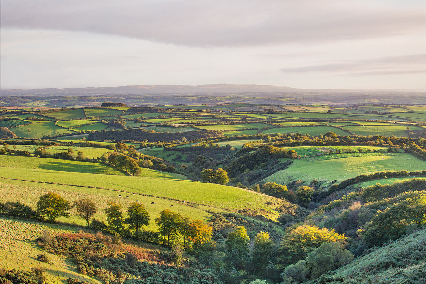 Above North Radworthy