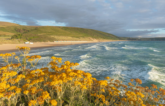 Woolacombe Beach Flowers