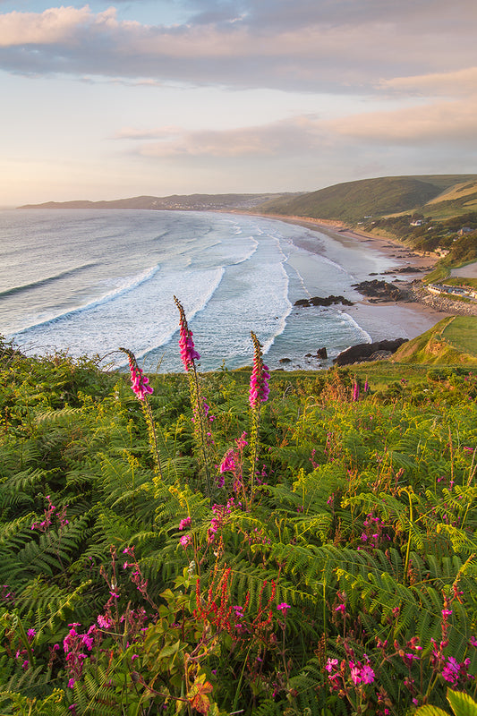 Putsborough Beach Spring