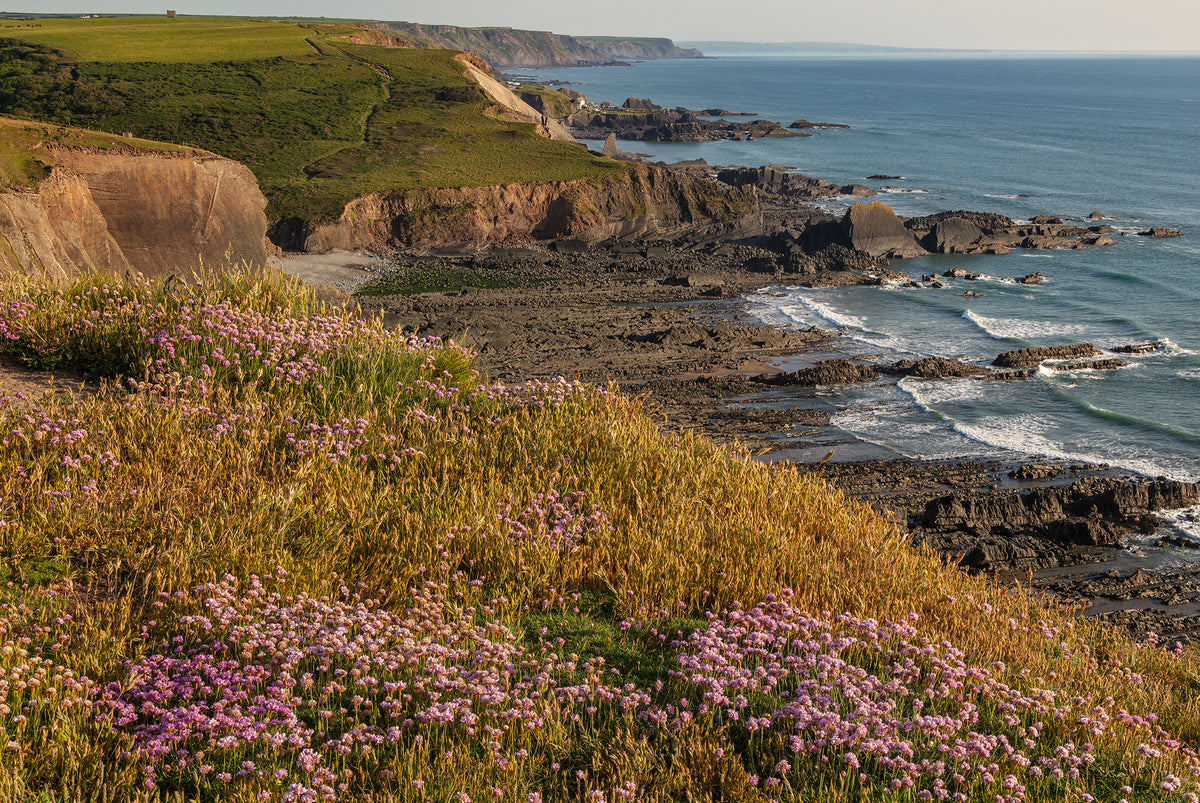 Towards Hartland Quay