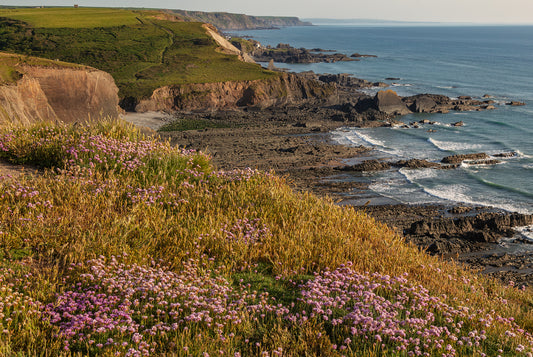 Towards Hartland Quay