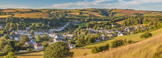 Swimbridge Summer Panorama