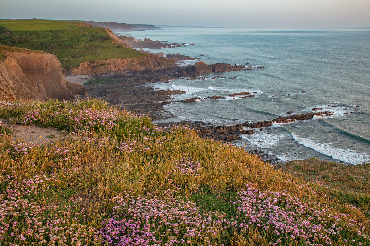 Towards Hartland Quay