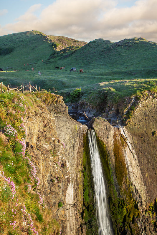 Spekes Mill Mouth Waterfall