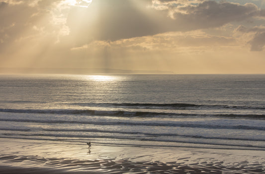 Croyde Beach Sunbeams