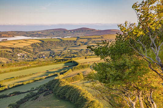 Above Parracombe