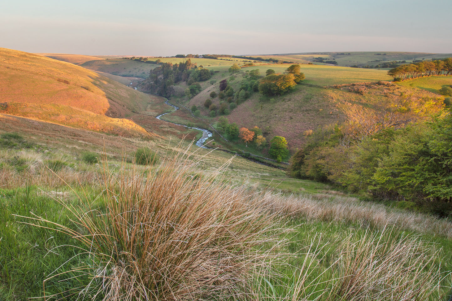 Simonsbath Towards Cornham