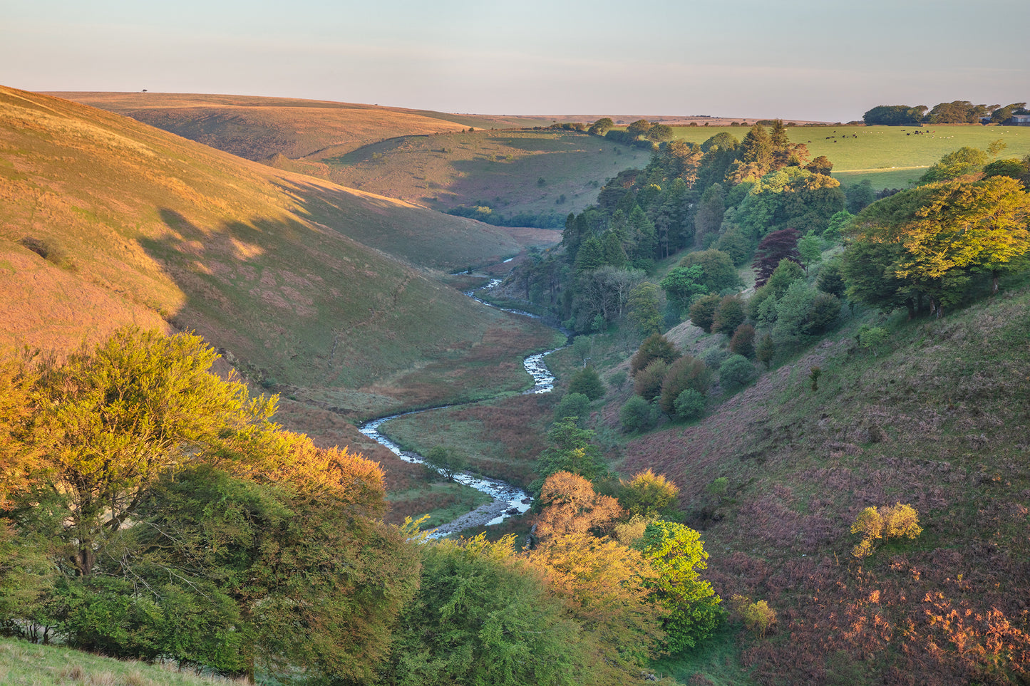 Simonsbath Spring