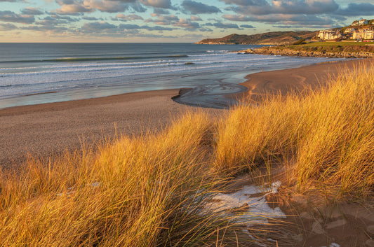 Woolacombe Winter Dunes