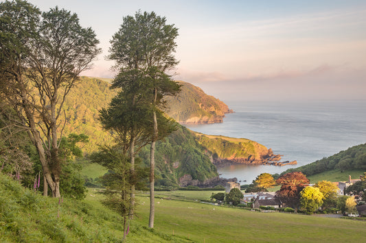 Above Lee Abbey