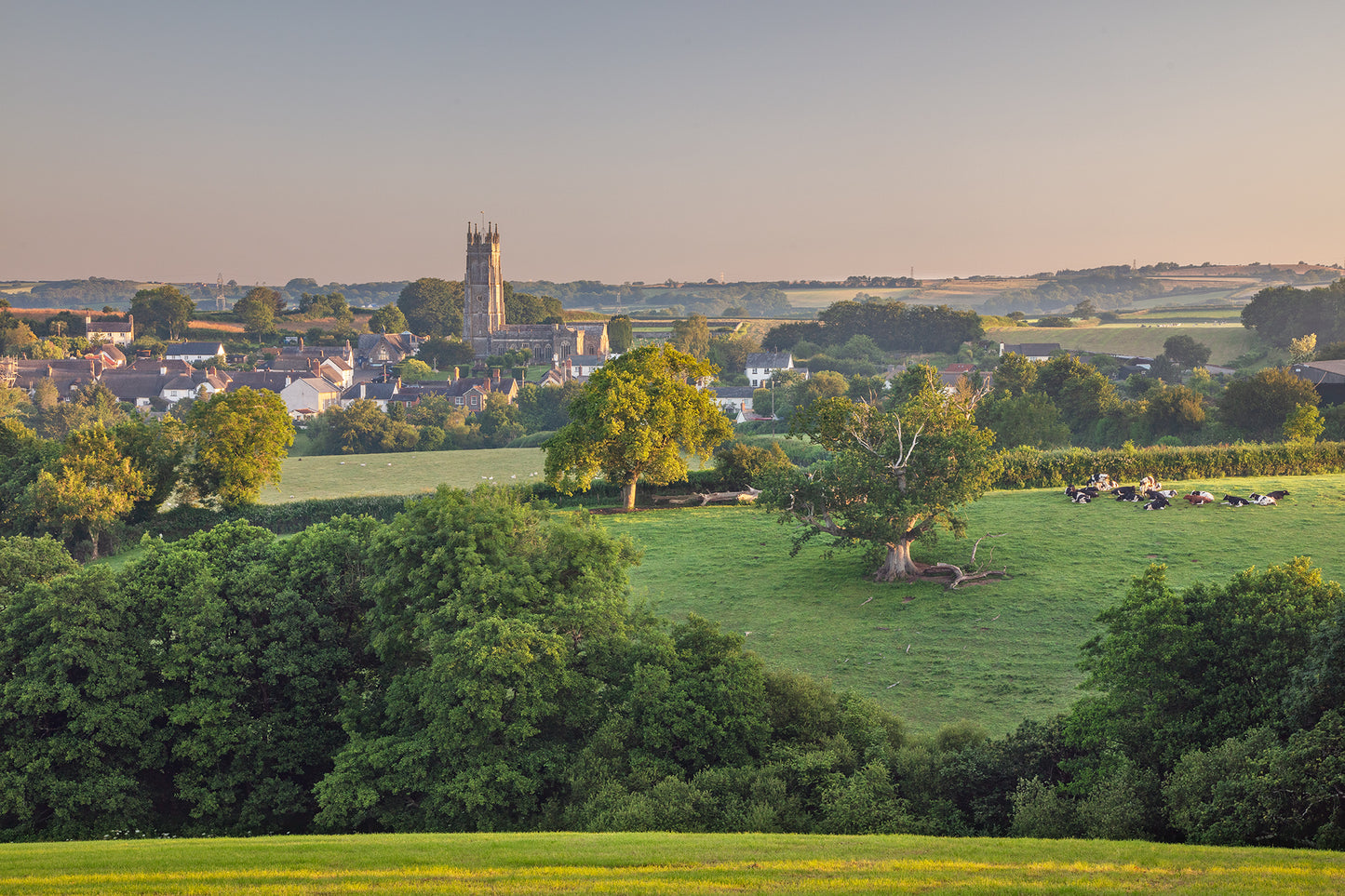 Chittlehampton Summer Light